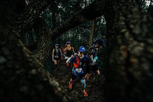 BIB: 
                            <button type="button" onclick="openModal(25677248)" class="btn btn-primary btn-sm float-right btn-popup" data-toggle="modal" data-target=".modal-high-quality">
                        <i class="fas fa-shopping-cart"></i> Add to Cart
                    </button>
                                            <button type="button" onclick="isThisMe(25677248, true)" class="btn btn-success btn-sm float-right btn-popup btn-isme hidden" data-toggle="tooltip" data-placement="bottom" title="นี่คือรูปของคุณใช่ไหม คลิกที่นี่เพื่อเอาเข้าอัลบั้ม">
                        <i class="fas fa-plus"></i> Add to album
                    </button>
                    <button type="button" onclick="isThisMe(25677248, false)" class="btn btn-warning btn-sm float-right btn-popup btn-isnotme hidden">
                        <i class="fas fa-ban"></i> Remove from album
                    </button>